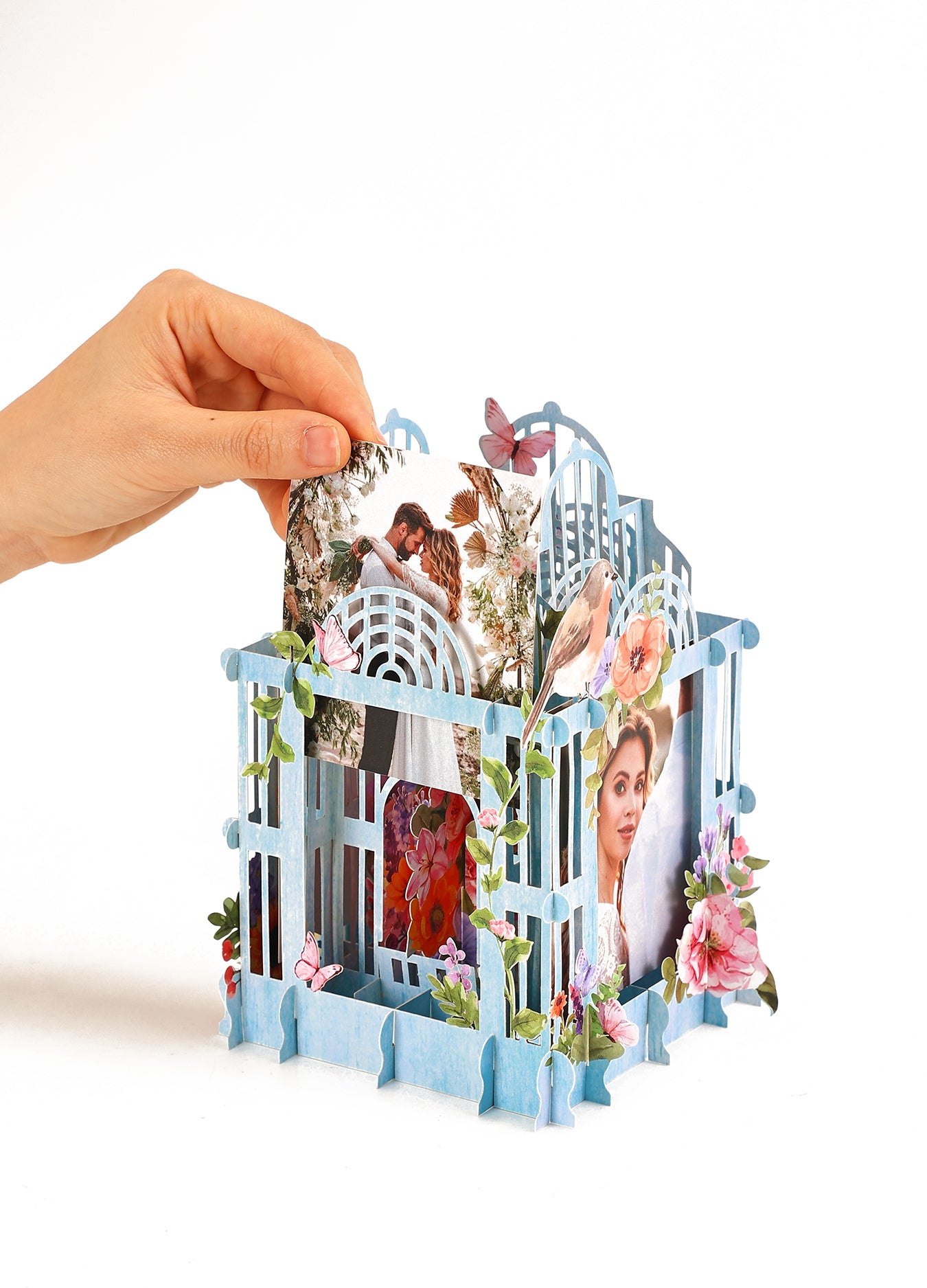 Colorful blue cage three-dimensional photo frame with flowers