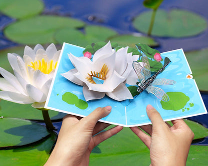 Lotus and Dragonfly Pop Up Card