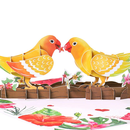 Love Birds Pop-Up Card