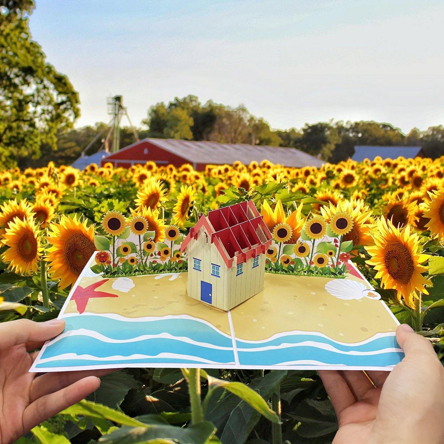 Sunflower Beach House Pop Up Card