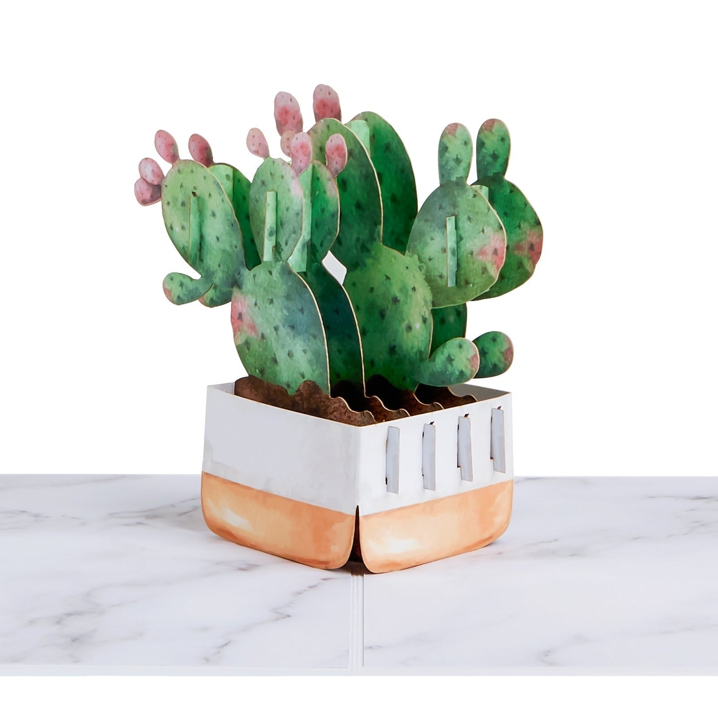 Bunny Ear Cactus Pop-Up Card