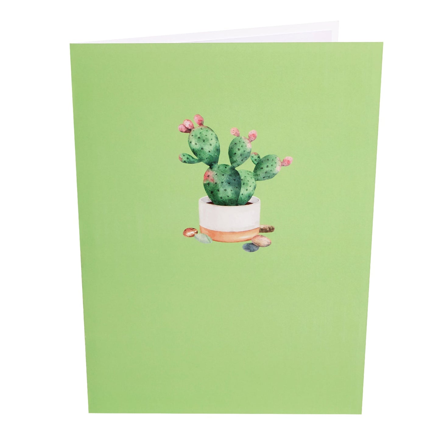 Bunny Ear Cactus Pop-Up Card