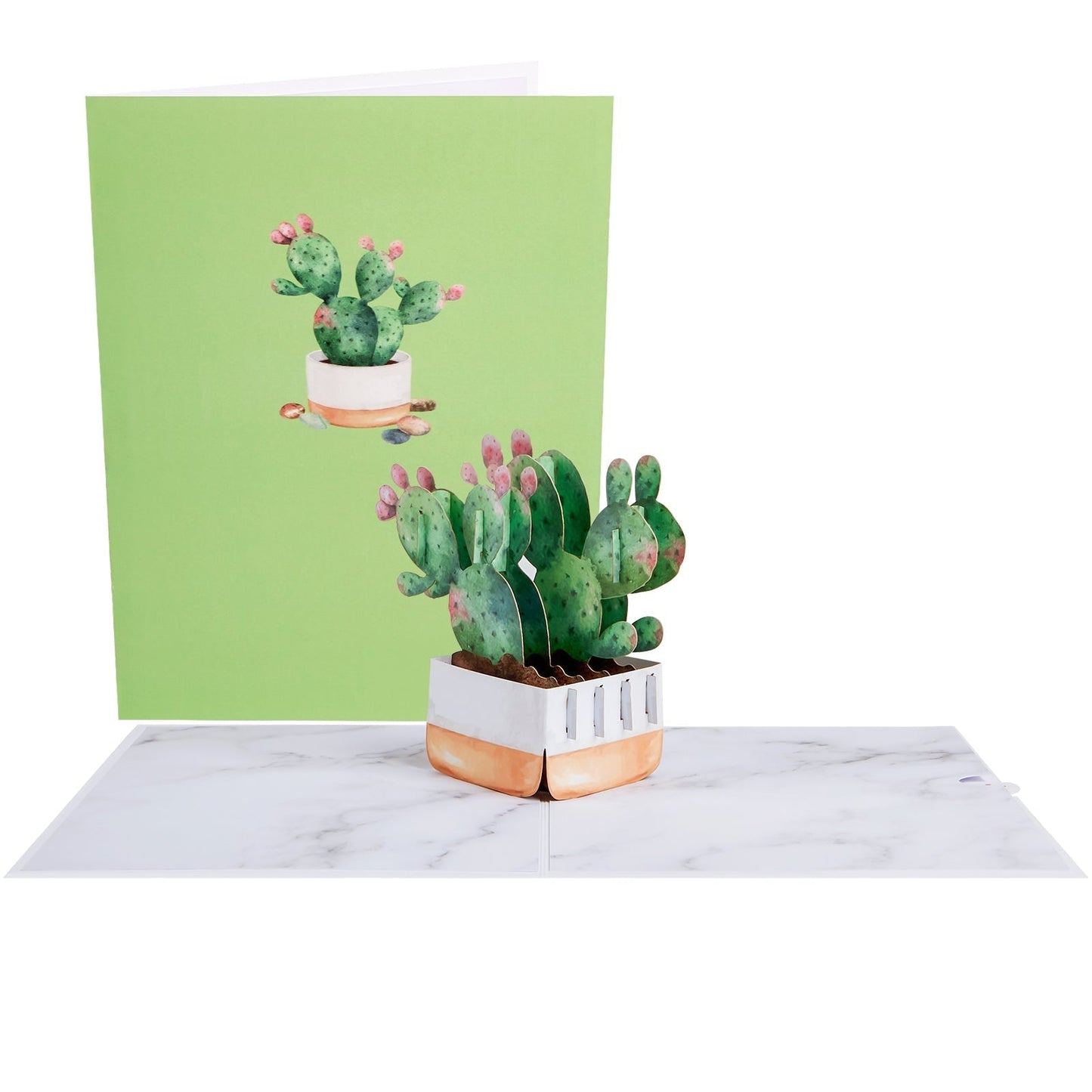 Bunny Ear Cactus Pop-Up Card