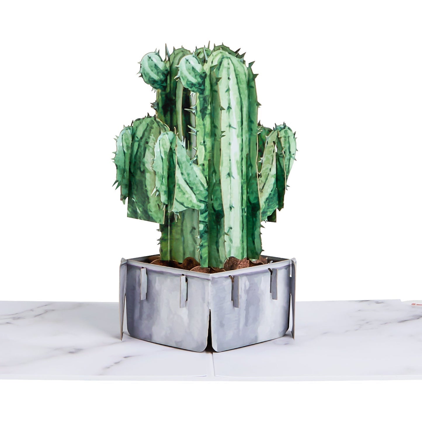 Saguaro Cactus Pop-Up Card