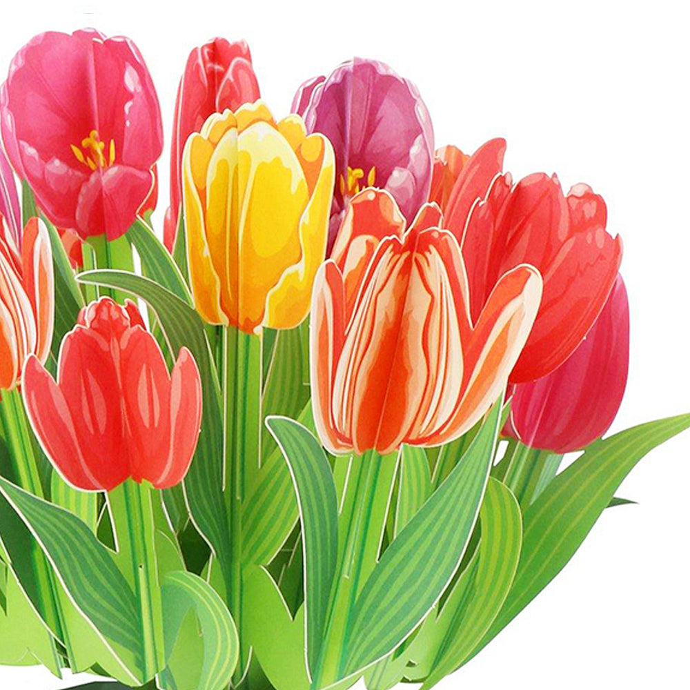 Tulips Flower Bouquet