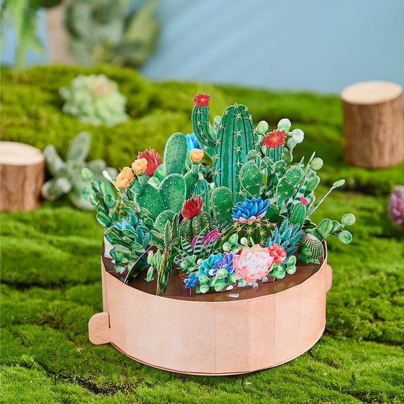 cactus-plants-pop-up-flower-pot