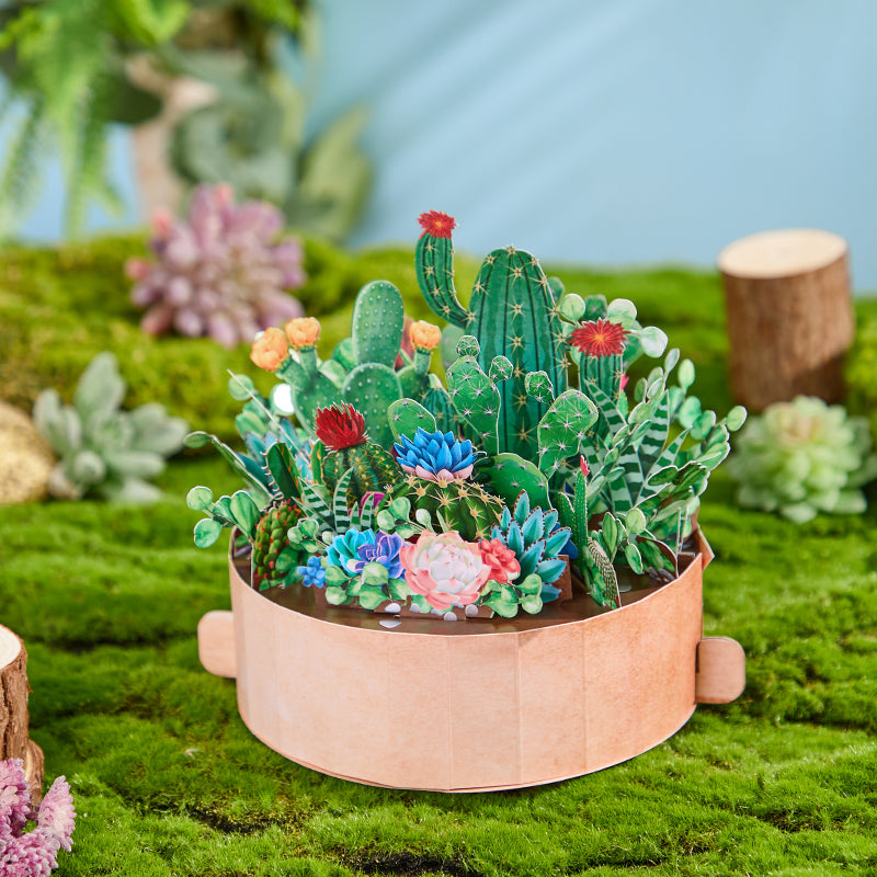 cactus-plants-pop-up-flower-pot