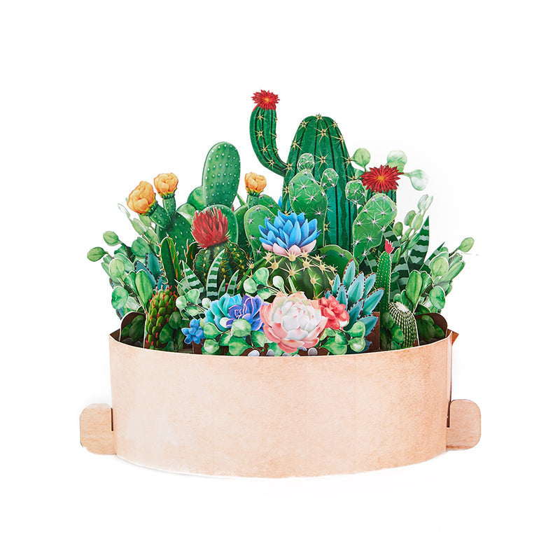 cactus-plants-pop-up-flower-pot