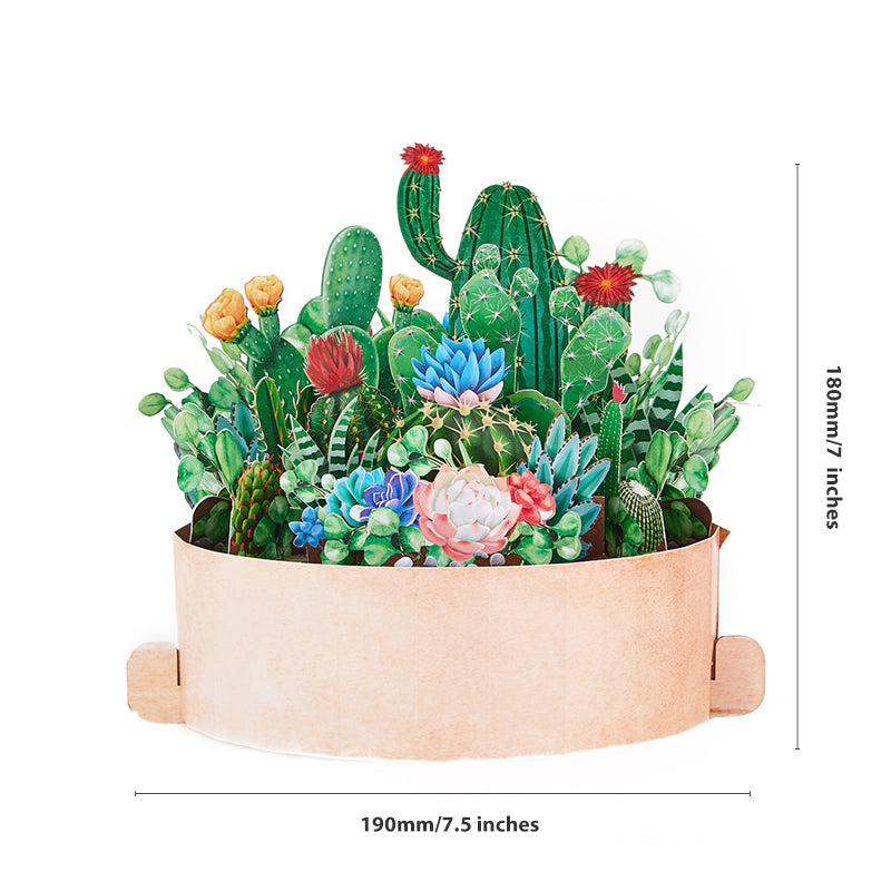 cactus-plants-pop-up-flower-pot