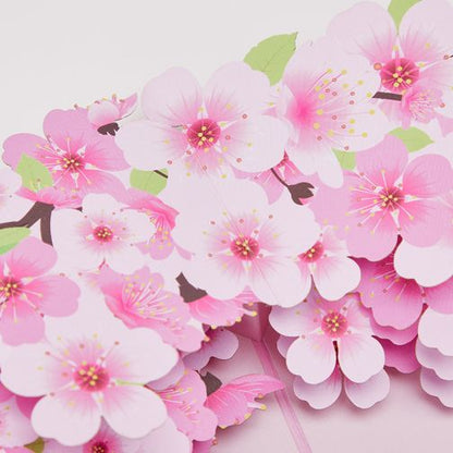 Cherry Blossom Pop Up Card