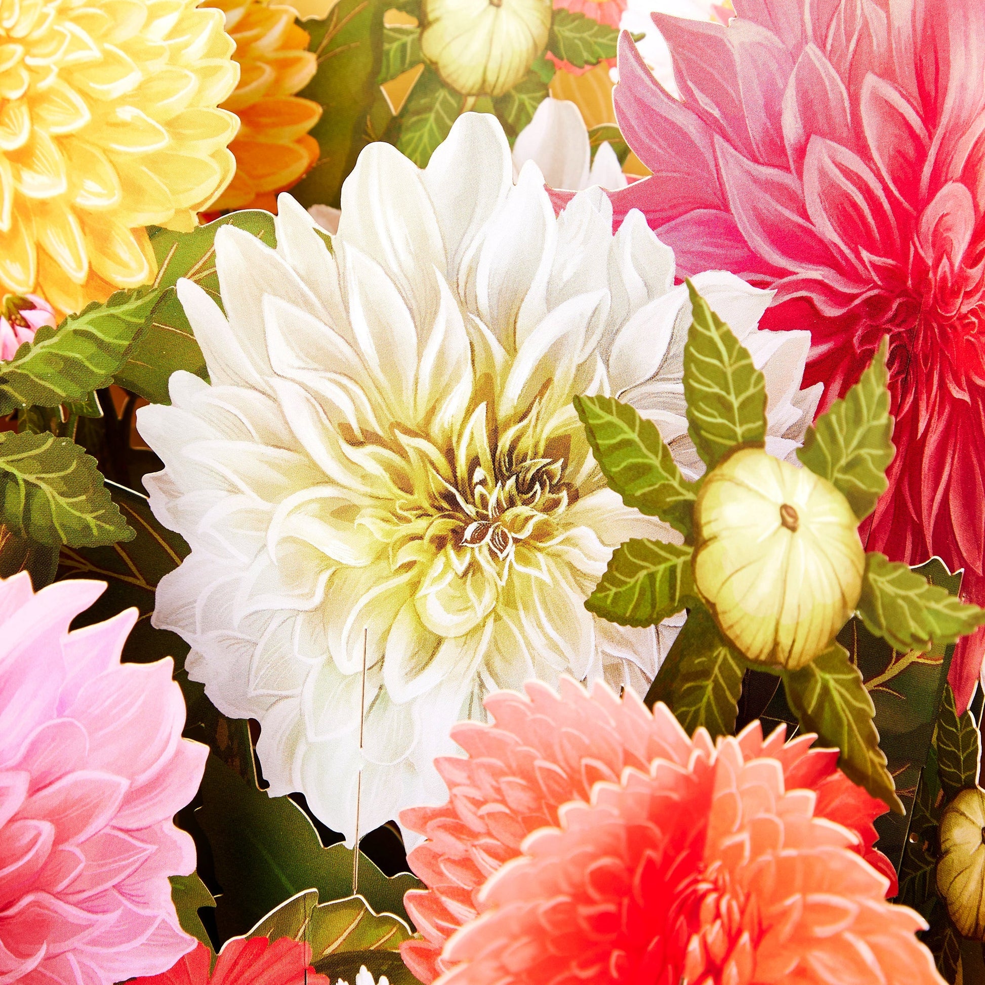 dahlia-flower-bouquet