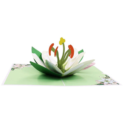 Lily Pop-Up Card