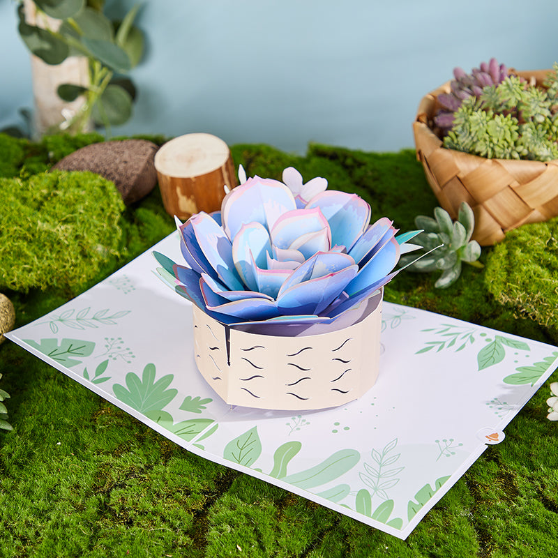 succulent-flower-pot-pop-up-card-