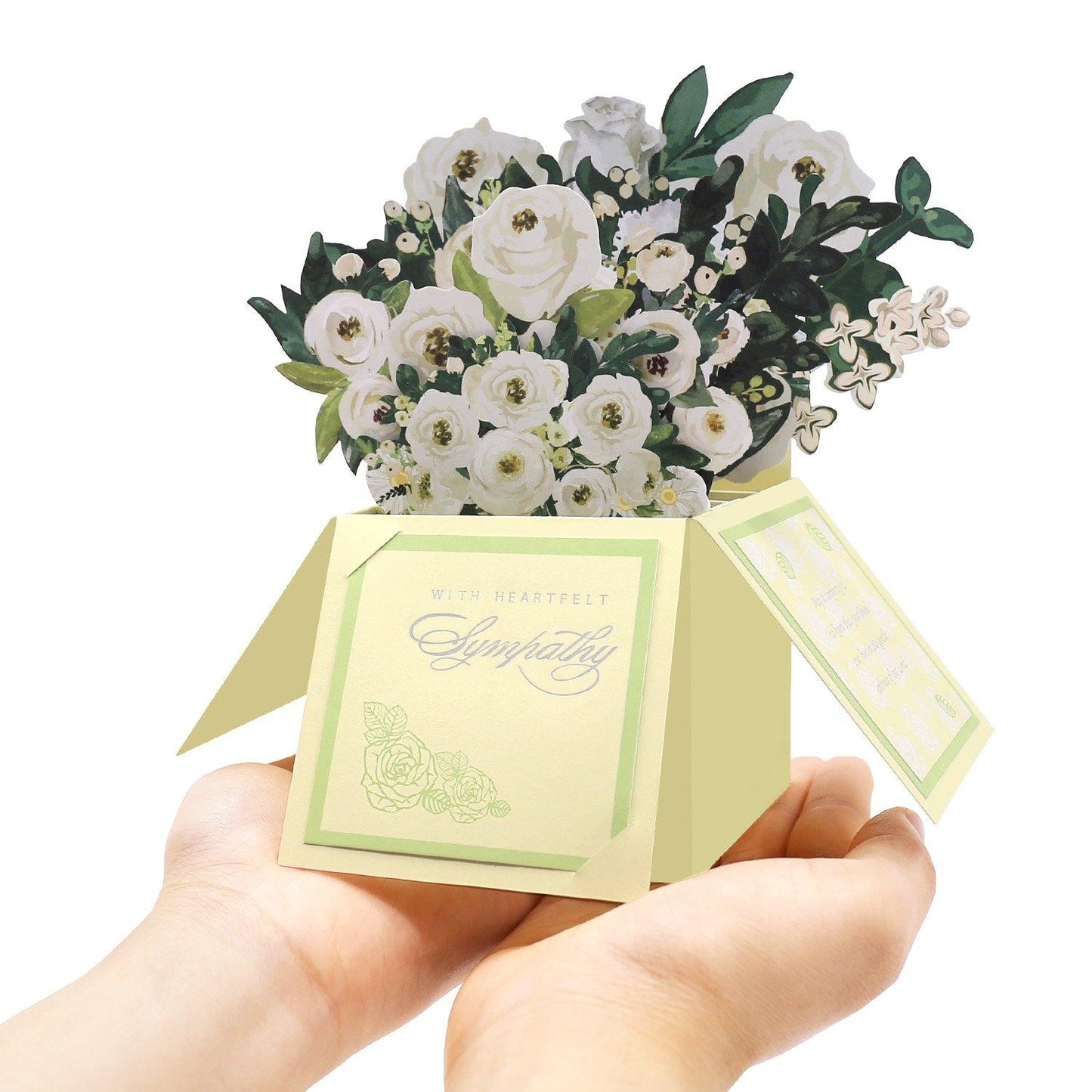 White Sympathy Pop-Up Box Card